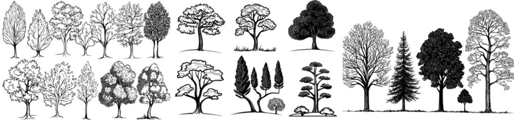 Obraz premium A diverse array of tree silhouettes representing different species, perfect for designs and projects centered around nature and the environment