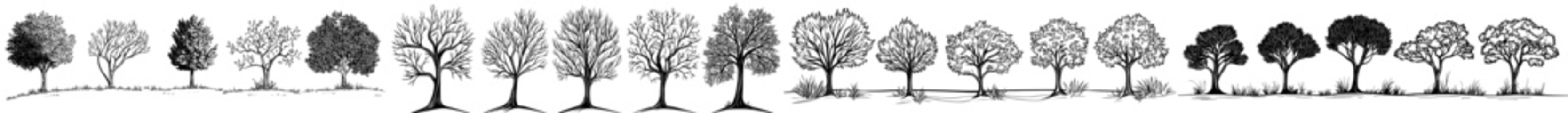 A compilation of tree silhouettes highlighting various forms and dimensions, ideal for designs centered around nature or initiatives promoting environmental sustainability