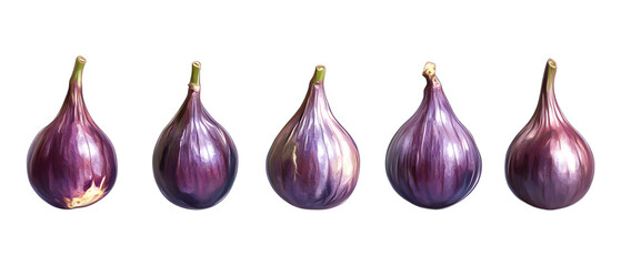 Pack of Fig Against Transparent Background for Food Illustrations, Recipe Projects, or Culinary Designs