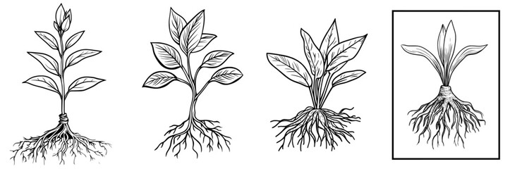 A stylized representation of a plant featuring leaves and roots serves as a symbol for growth and the natural world