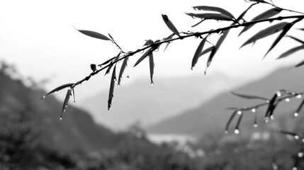 Dew-kissed branches against a misty mountain backdrop