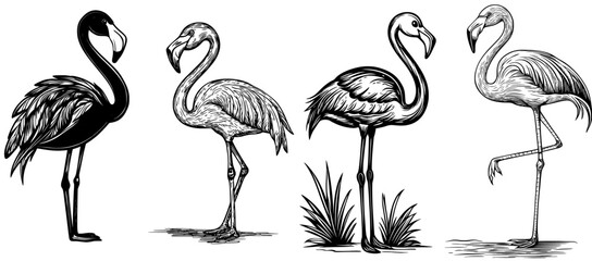 A simple outline of a flamingo in an elegant stance, ideal for designs with a tropical theme or wildlife artwork