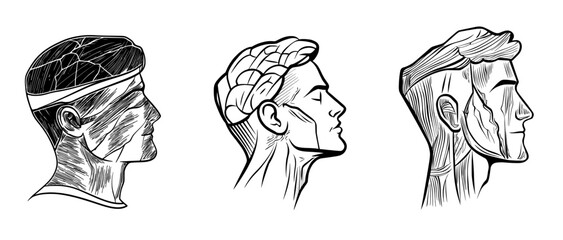 A human head's abstract silhouette, cracked in texture, represents the intricacies of complexity and emotional depth