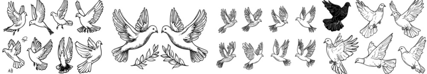 A gathering of black bird silhouettes in diverse flying positions, perfect for graphic design and projects centered around nature