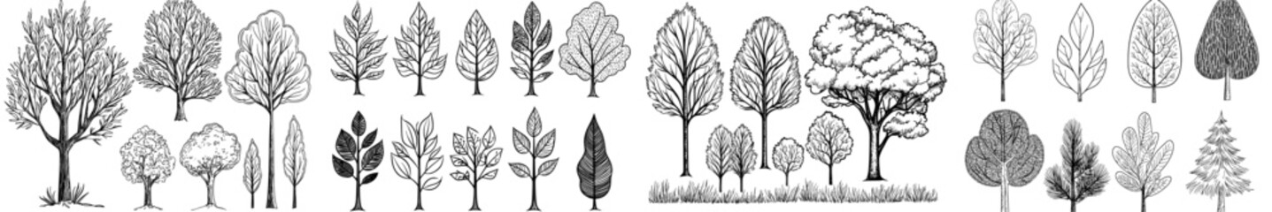 A compilation of black trees in silhouette form, highlighting diverse types and shapes, ideal for designs and illustrations centered around nature © Andrei