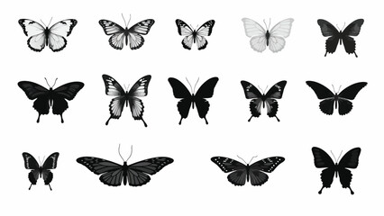 set of butterflies silhouettes