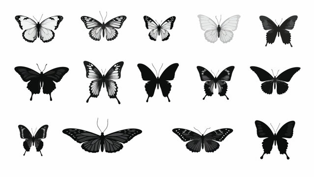 set of butterflies silhouettes