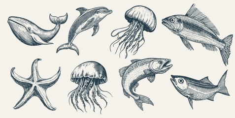 Vintage Marine Animal Illustrations