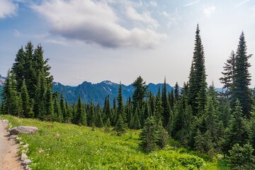 Serene countryside scenery. Scenic green hill mountain. Summer day in wild mountain with coniferous forest and green slopes. Mountain landscape with meadow. Mountainous landscape with cloudy sky