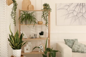 Shelving unit with houseplants and different home decor indoors