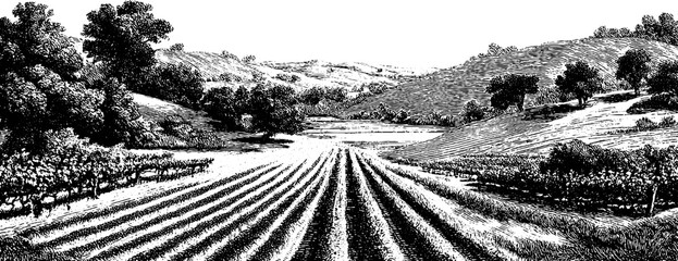 Fototapeta premium Vintage black and white rural landscape with fields and rolling hills.