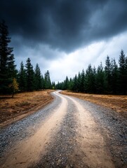 Naklejka premium Winding Forest Road Under a Stormy Sky - A gravel road curves through a coniferous forest, under a dramatic, dark sky. Symbolizing adventure, journey, mystery, nature, and solitude