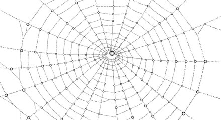 Obraz premium Spiderweb with Water Droplets Circular Geometric Design