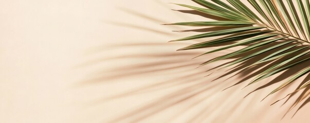 Obraz premium Pastel-hued backdrop with tropical leaf shadow