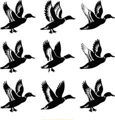 set of silhouettes of birds