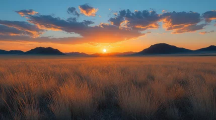 Selbstklebende Fototapeten African Sunset over Grassland Panorama © @Luthfi