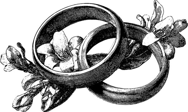 Elegant engraved illustration of intertwined wedding rings with floral accents for romantic design.