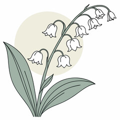 Elegant Lily of the Valley Flower Minimal Botanical Vector Art.