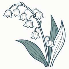 Elegant Lily of the Valley Flower Minimal Botanical Vector Art.
