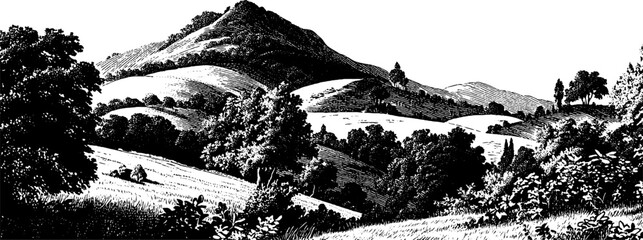 Vintage 1950s woodcut style black and white landscape illustration for retro design