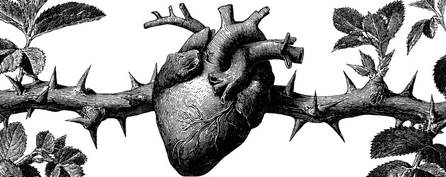 Engraved bleeding heart illustration surrounded by thorns - emotional art for design projects