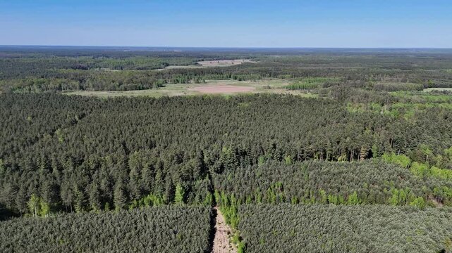 Harmonia natury &ndash; lasy i pola Europy Środkowej