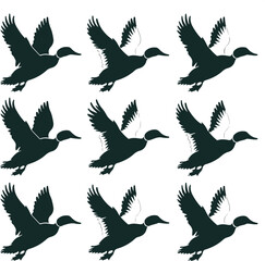 set of silhouettes of birds