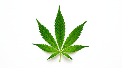 A vibrant green marijuana leaf, isolated on a clean white backdrop, with intricate details.
