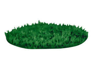 Watercolor hand drawn illustration fresh green grass isolated on a white background. Summer lawn for design, nature landscape. Grassplot. A patch of grass. Spring herb. Organic, bio, eco label