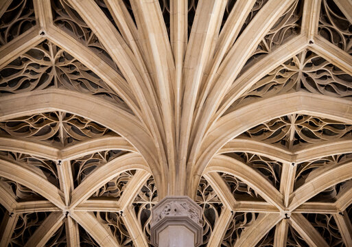 Intricate Gothic architecture of vaulted ceiling in historic cathedral