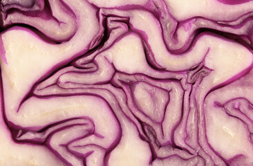 Close-up view of a sliced red cabbage revealing intricate patterns and textures in layers