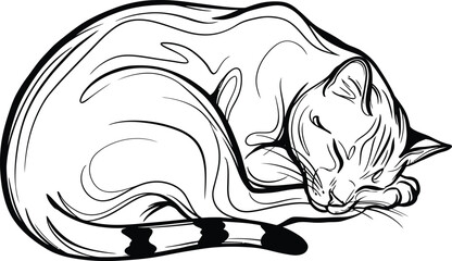 Minimalist Sleeping Cat Vector