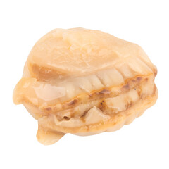 Oyster meat isolated on white background