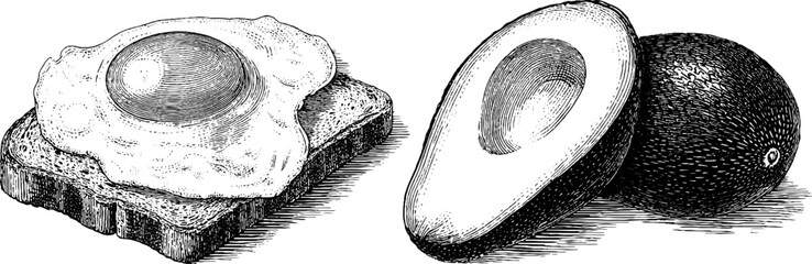 Engraved food illustration set featuring fried egg on toast and avocado halves for culinary art projects