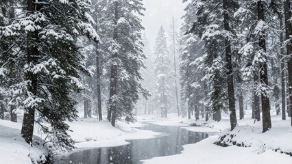 aesthetic nature, 4k nature wallpaper 4k, wallpaper nature images, nature background images | Snowy Kashmir Winter Forest – 16:9 Ultra HD Laptop & PC Nature Background