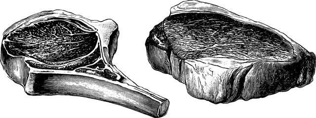 Engraved illustration set of lamb chop and veal steak for culinary artwork and design