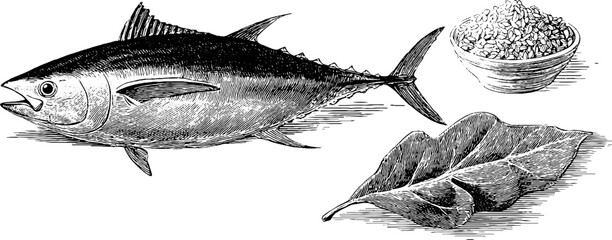 Engraved illustration of tuna fish and seaweed with texture detail for kitchen decor