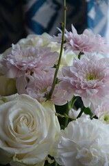bouquet of daisies and dianthus