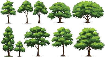 Vector watercolor green tree or forest side view isolated on white background for landscape and architecture drawing,elements for environment or and garden,Shrub for section