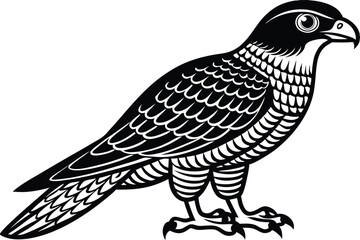 goshawk cartoon vector illustration.