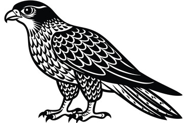 goshawk cartoon vector illustration.