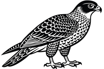 goshawk cartoon vector illustration.