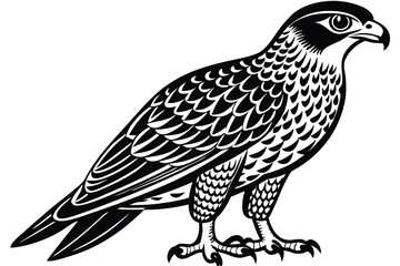 goshawk cartoon vector illustration.