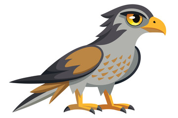 goshawk cartoon vector illustration.