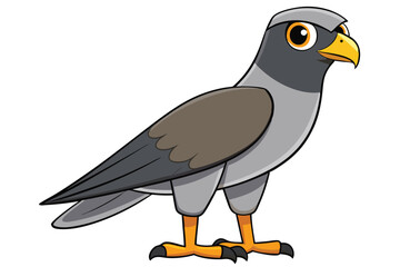 goshawk cartoon vector illustration.