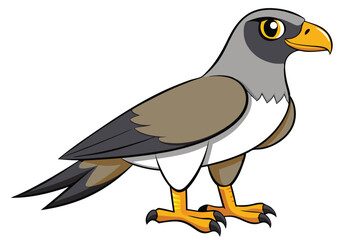 goshawk cartoon vector illustration.