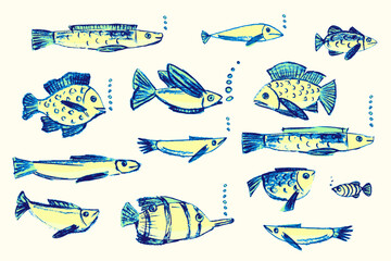 Naklejka premium Crayon hand drawn set of various fishes. Doodle shapes in yellow. green and blue. Cute sea pattern. Marine kids school background. Chalk sketch elements on white background. Vector illustrations