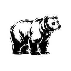 Obraz premium Monochrome bear vector illustration