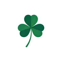 Green clover on white background