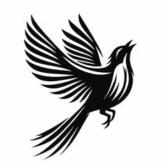 Obraz premium A flying Bird.